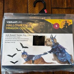 Vibrant Blue Dragon Costume for Pets